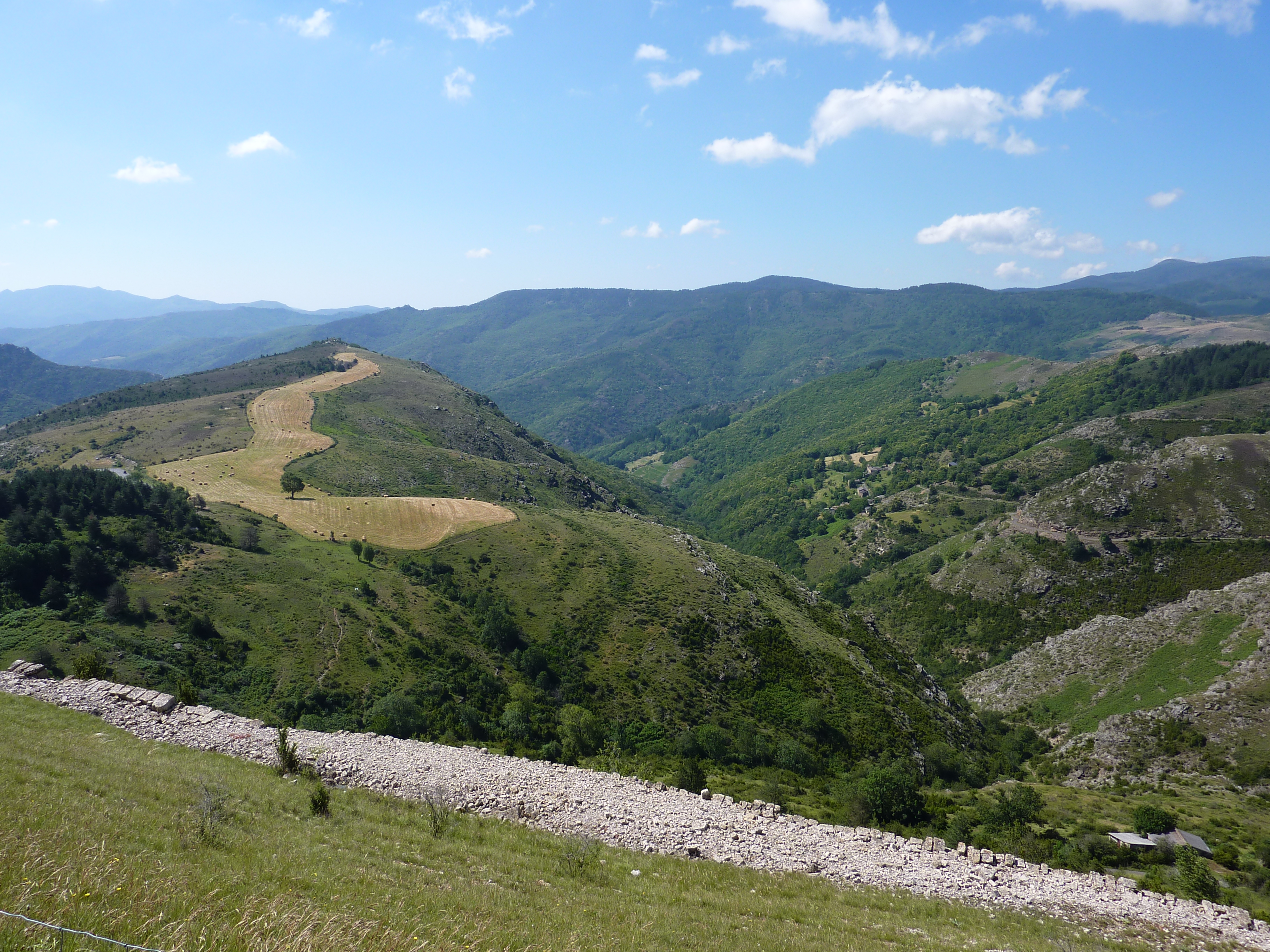 La faune et la flore du massif central : une richesse inégalable