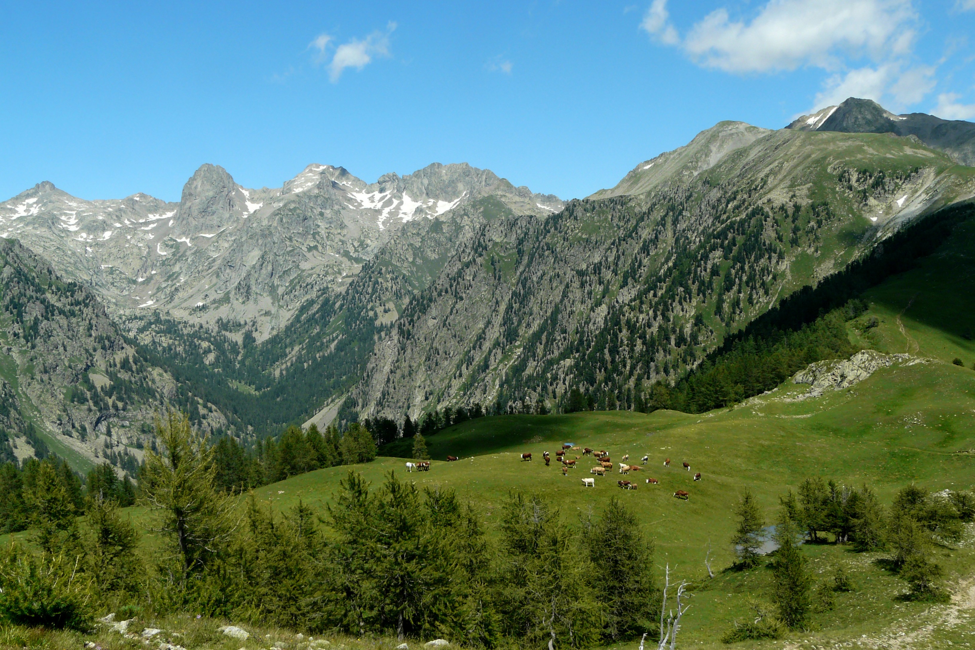 Le Mercantour, un incontournable de la côte d’Azur